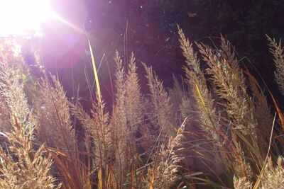 Herbstspezial 2026 – 15 % Rabatt ab 2 Nächten